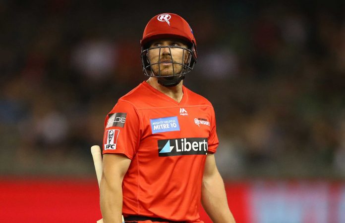 aaron finch melbourne renegades