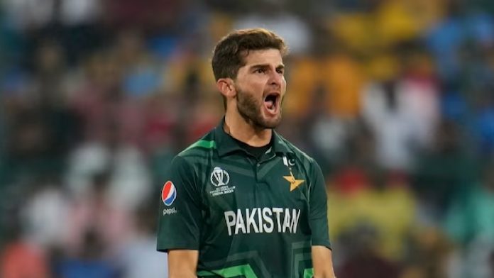 Shaheen Afridi is the equivalent of a father-in-law Shahid Afridi's Unusual Performance in the ODI Cricket World Cup.