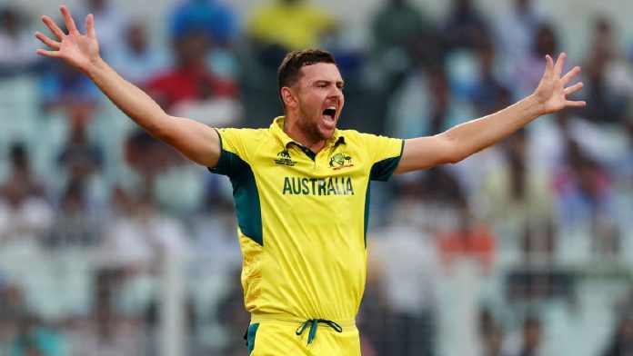 Josh Hazlewood, an Australian pacer, on the Indian team before of the Cricket World Cup final: 
