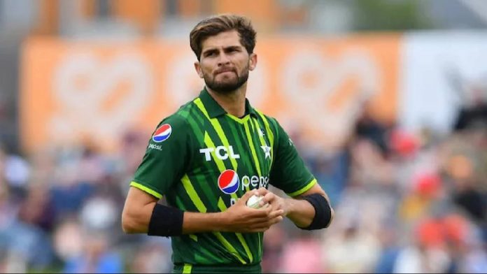 Shaheen Afridi roasts this Pakistani star after calling him the 